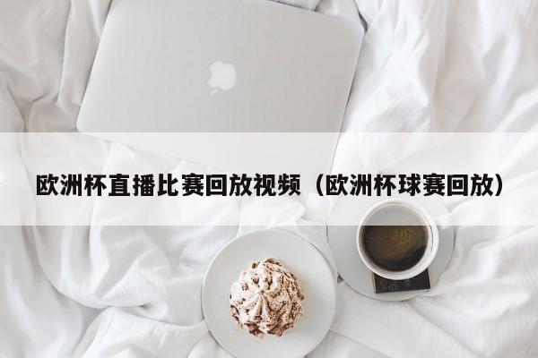 欧洲杯直播比赛回放视频（欧洲杯球赛回放）