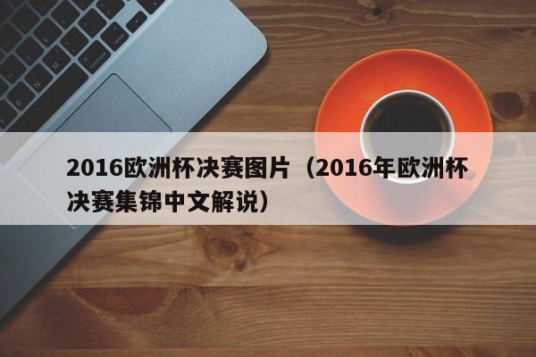 2016欧洲杯决赛图片（2016年欧洲杯决赛集锦中文解说）