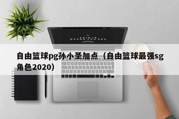 自由篮球pg孙小圣加点（自由篮球最强sg角色2020）